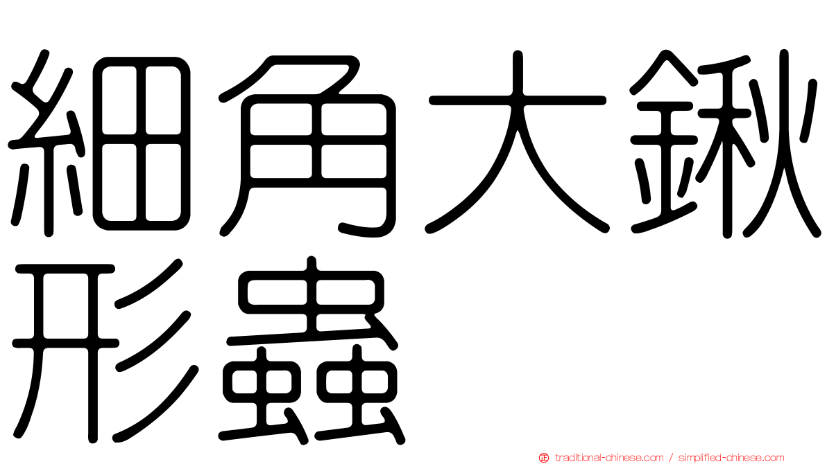 細角大鍬形蟲