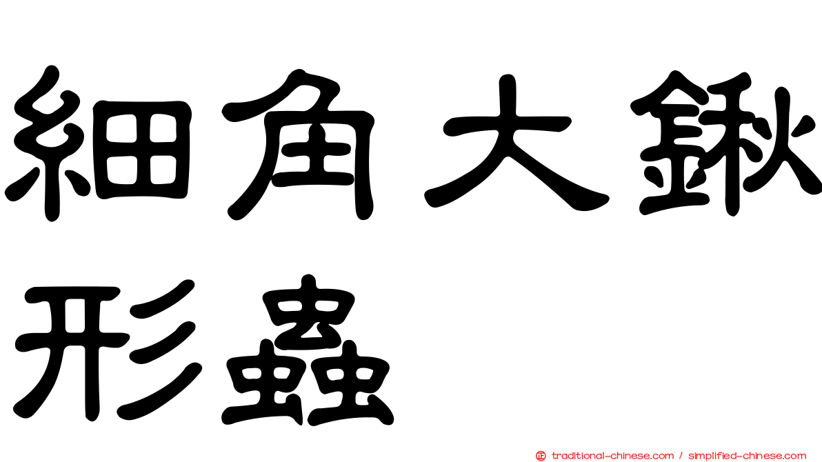 細角大鍬形蟲