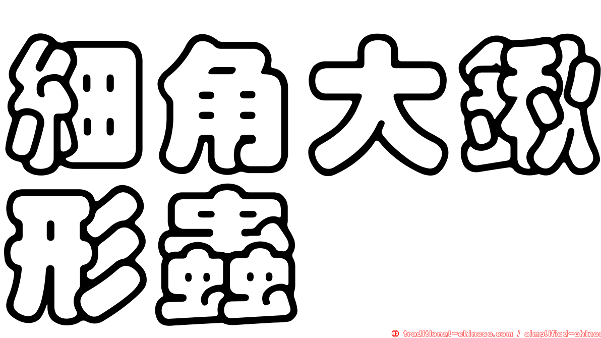 細角大鍬形蟲