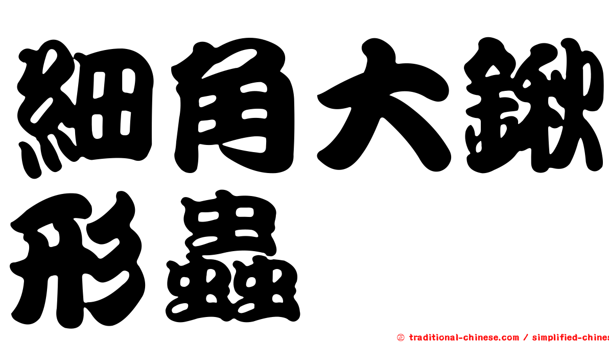 細角大鍬形蟲