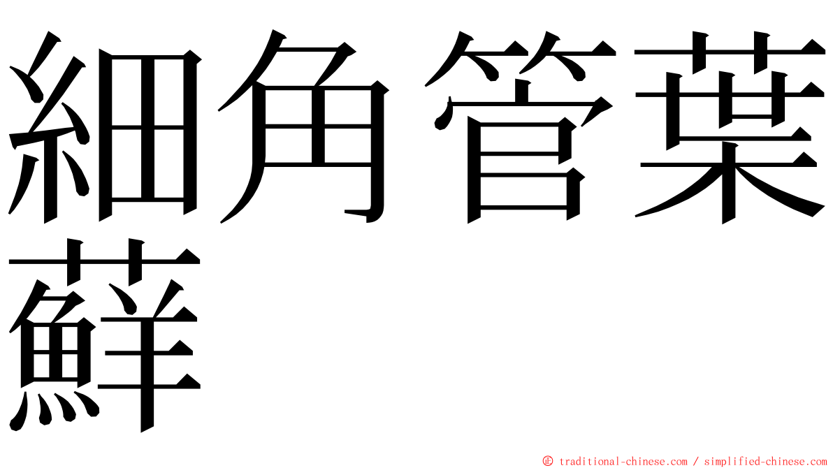 細角管葉蘚 ming font