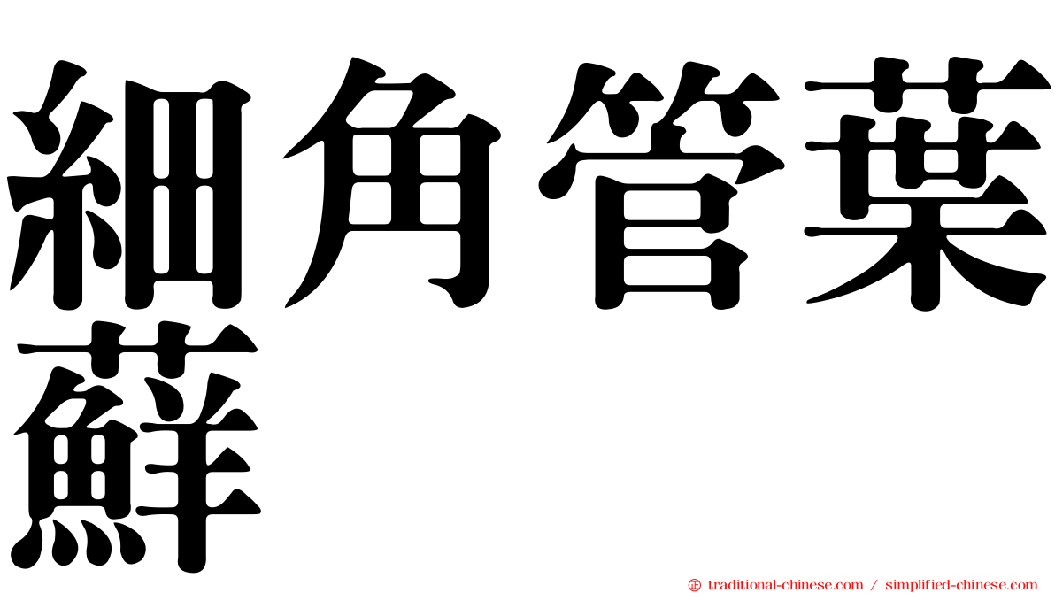 細角管葉蘚