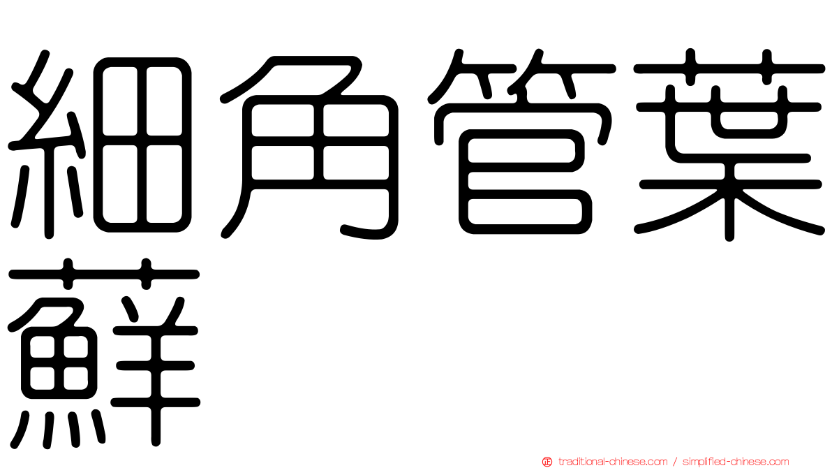 細角管葉蘚