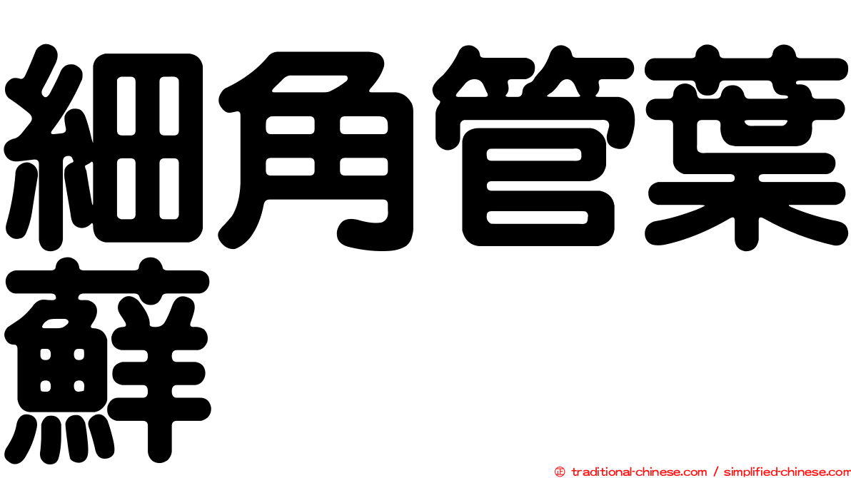 細角管葉蘚