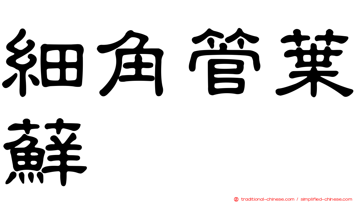 細角管葉蘚