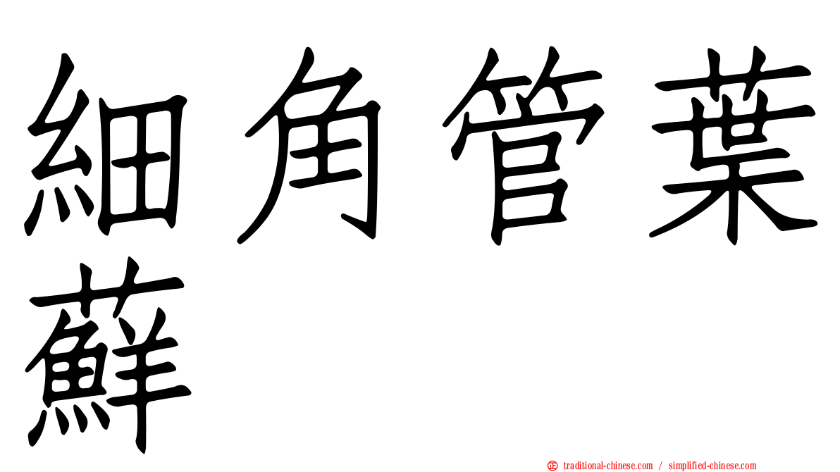 細角管葉蘚