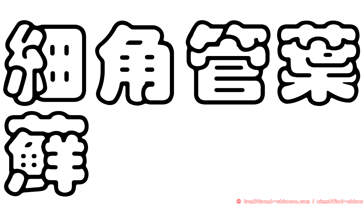 細角管葉蘚
