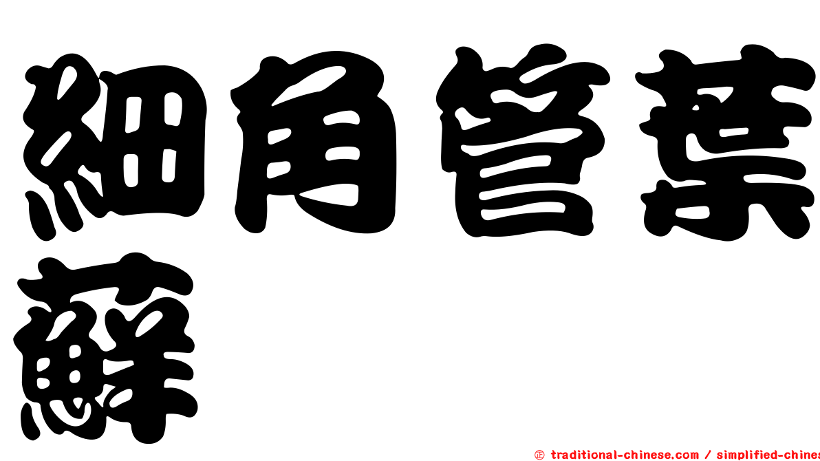細角管葉蘚