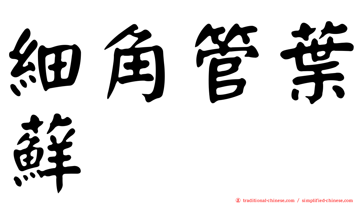 細角管葉蘚