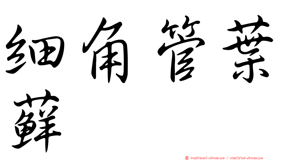 細角管葉蘚