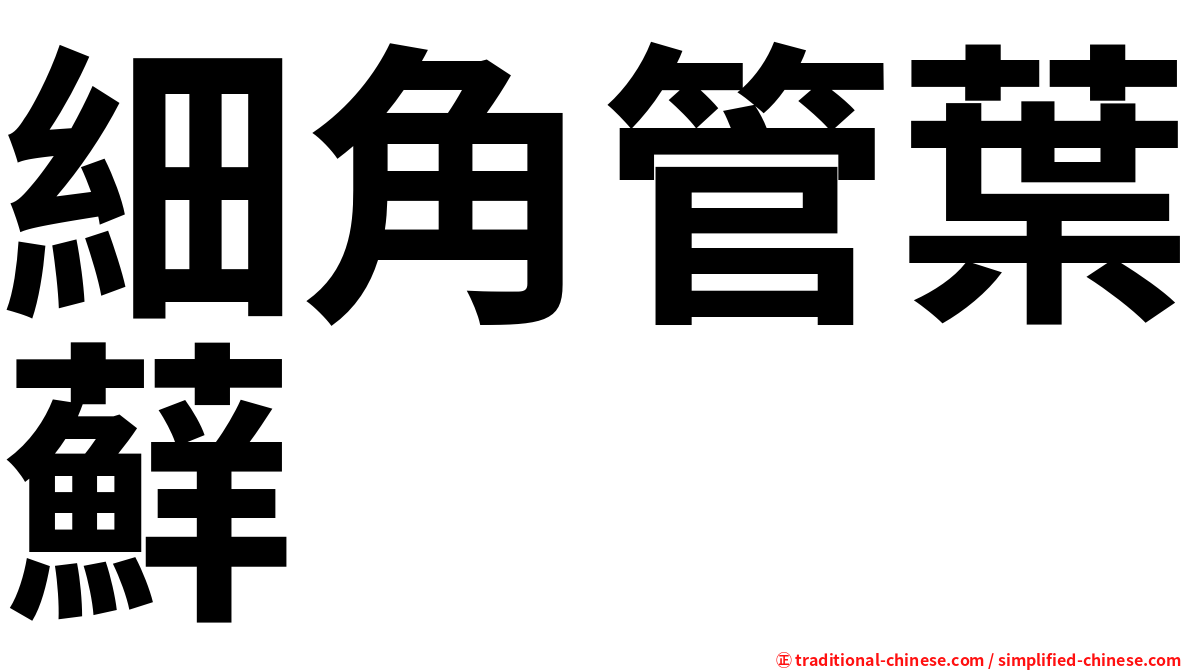 細角管葉蘚