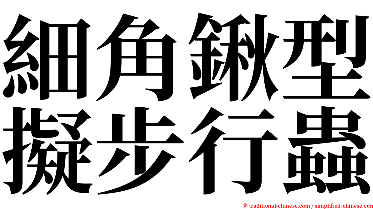 細角鍬型擬步行蟲 serif font