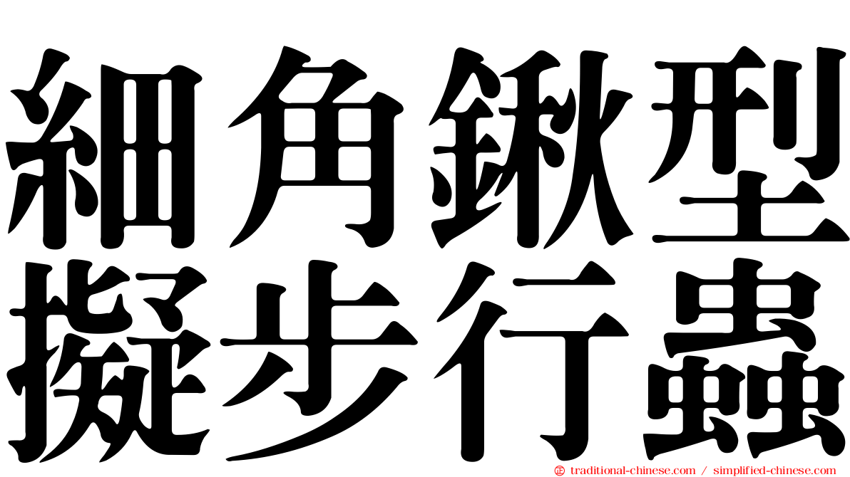 細角鍬型擬步行蟲