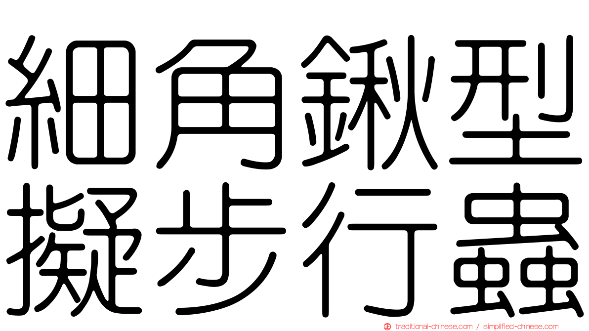 細角鍬型擬步行蟲