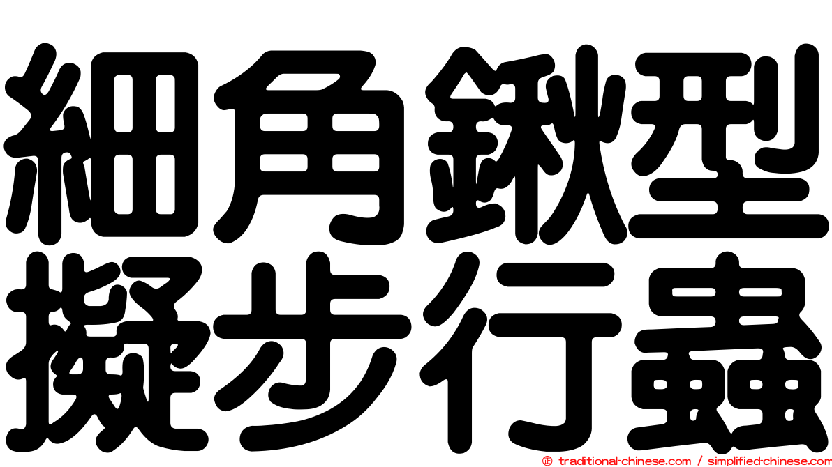 細角鍬型擬步行蟲