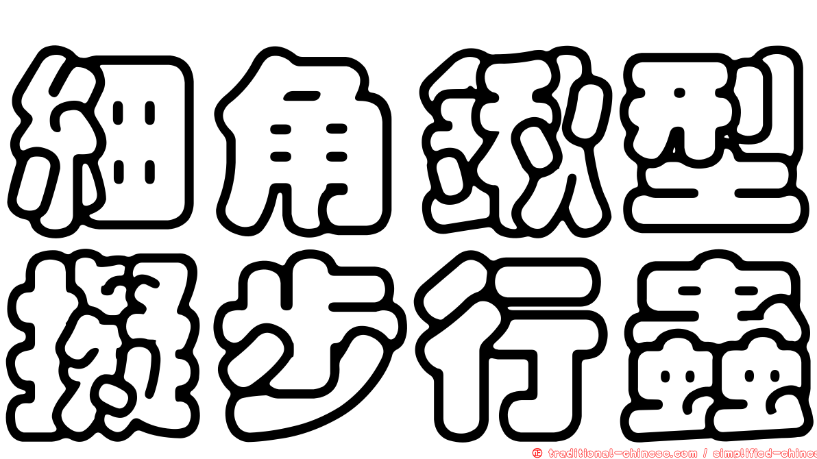 細角鍬型擬步行蟲