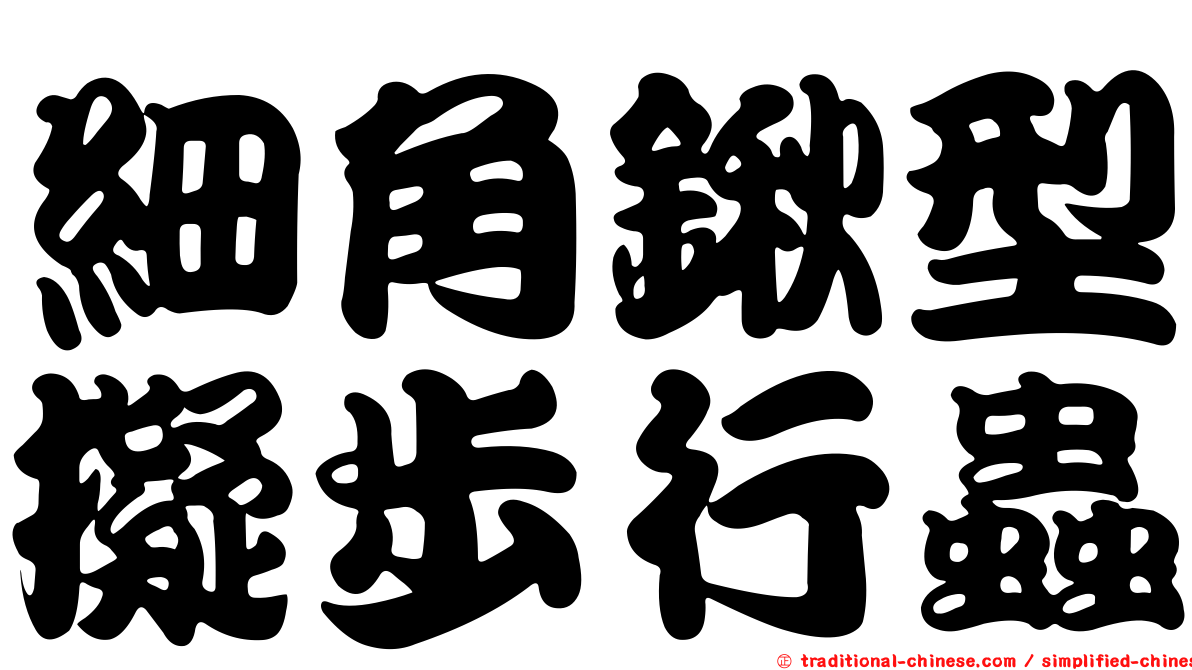 細角鍬型擬步行蟲