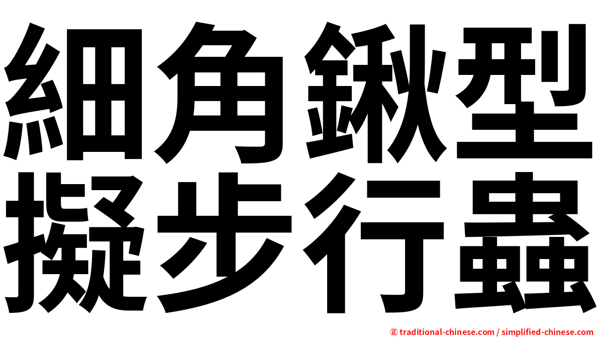 細角鍬型擬步行蟲