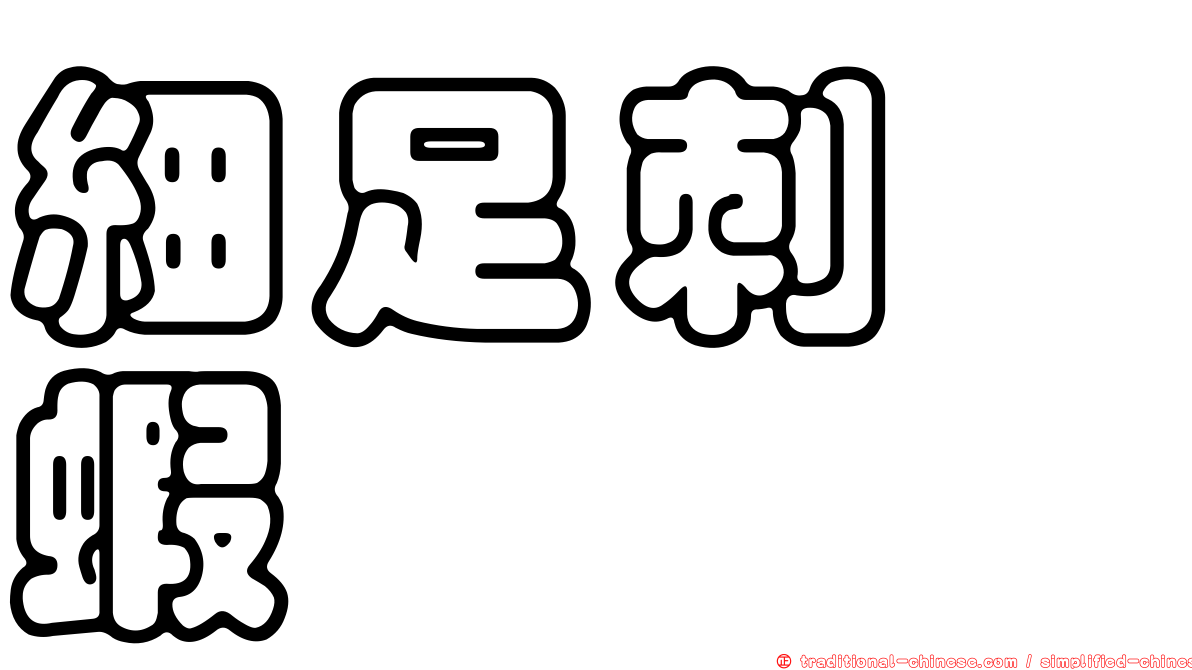 細足刺鎧蝦