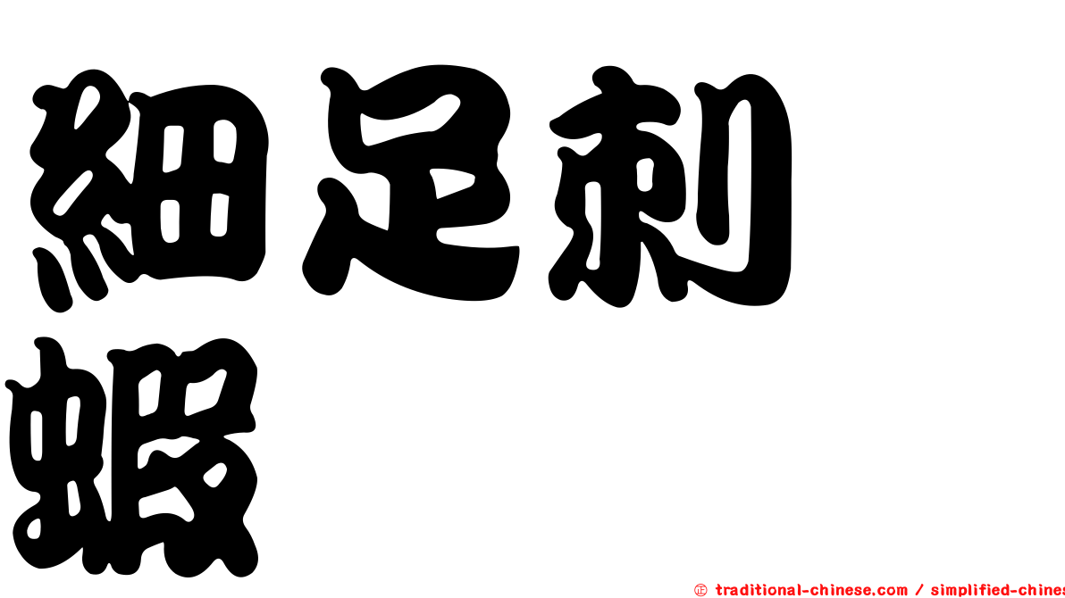 細足刺鎧蝦