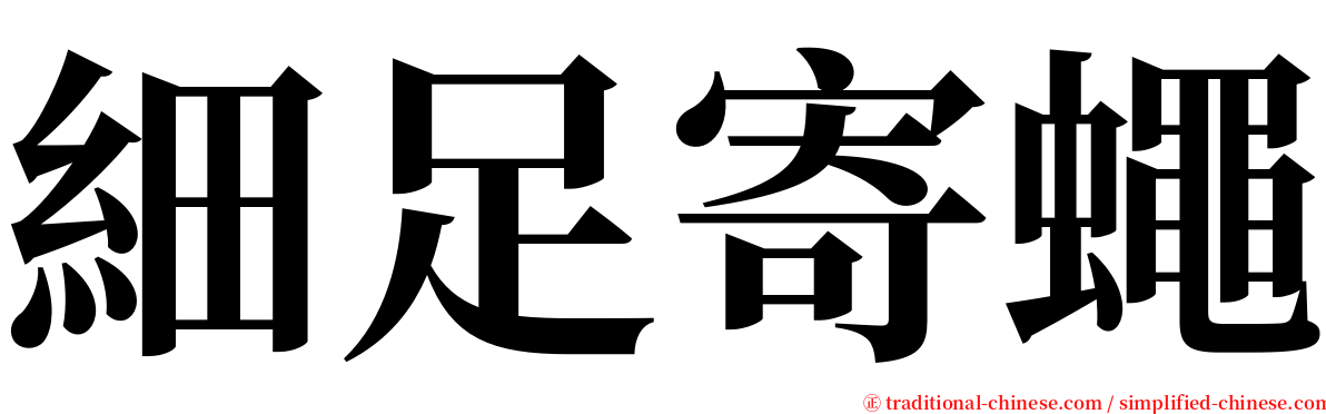細足寄蠅 serif font