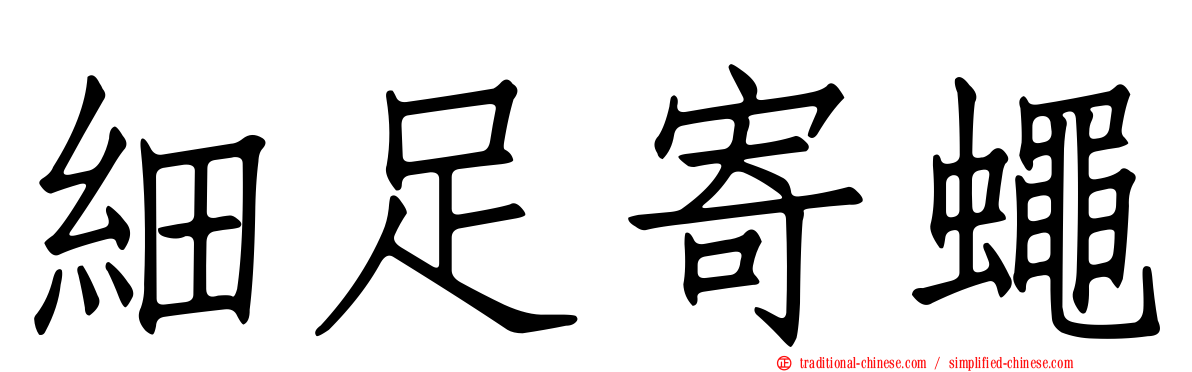 細足寄蠅