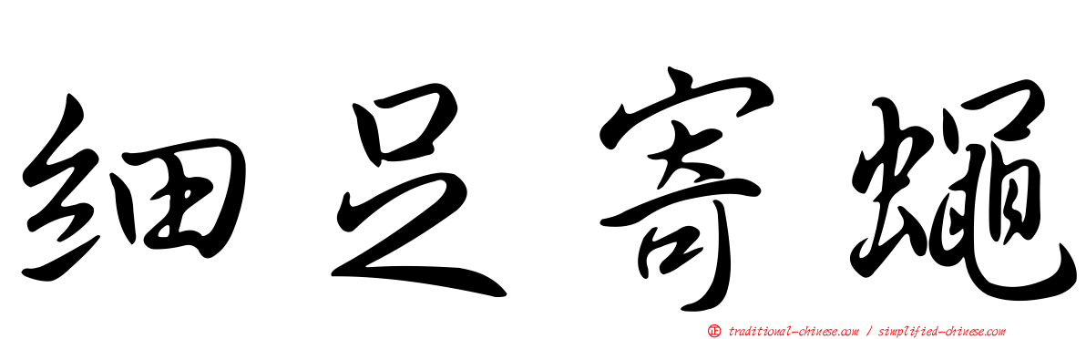 細足寄蠅