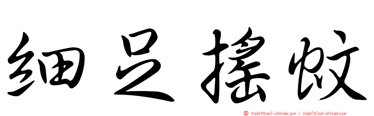 細足搖蚊