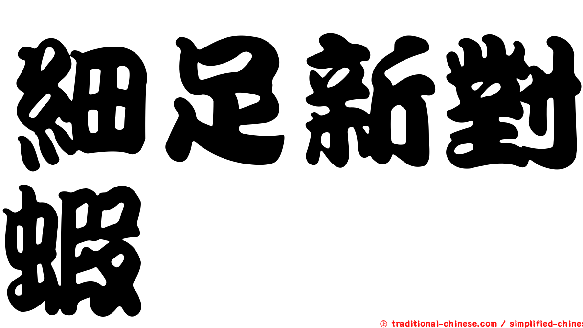 細足新對蝦