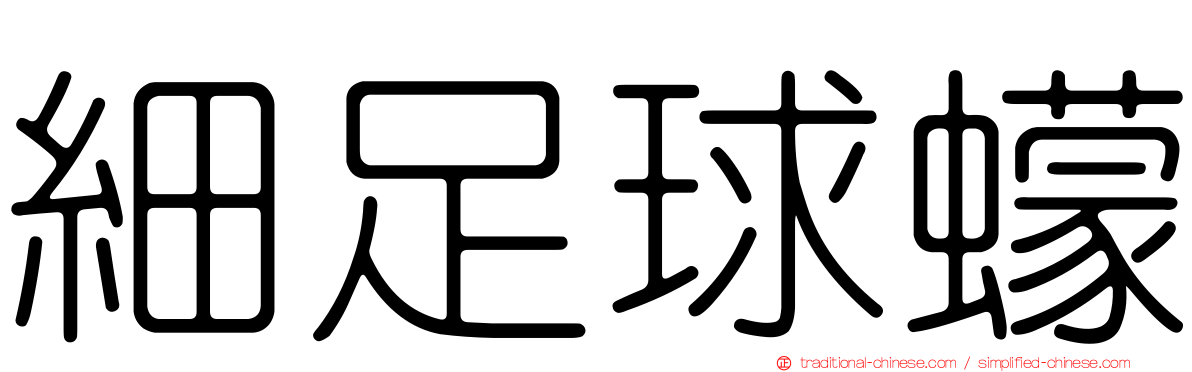細足球蠓