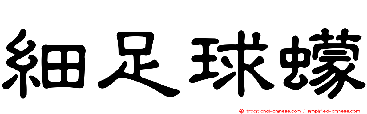 細足球蠓