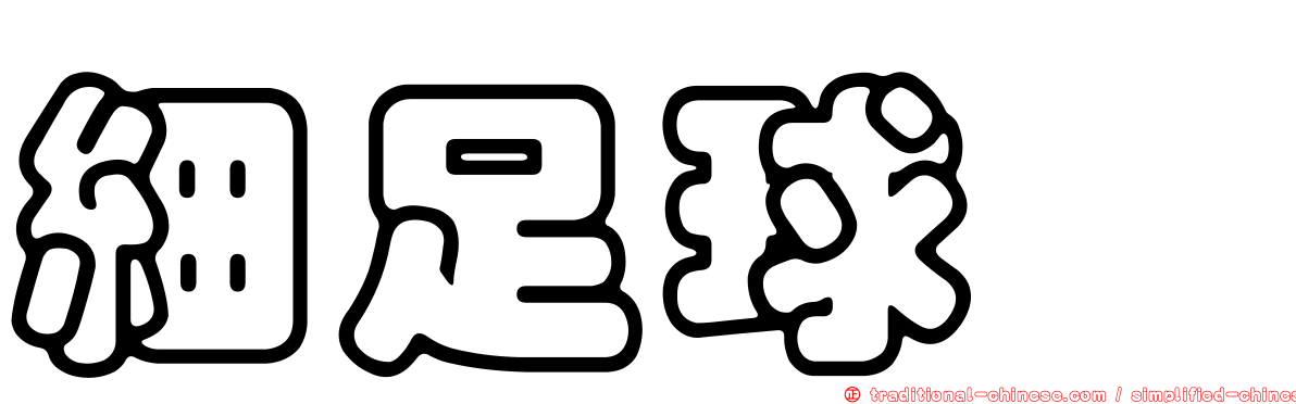 細足球蠓