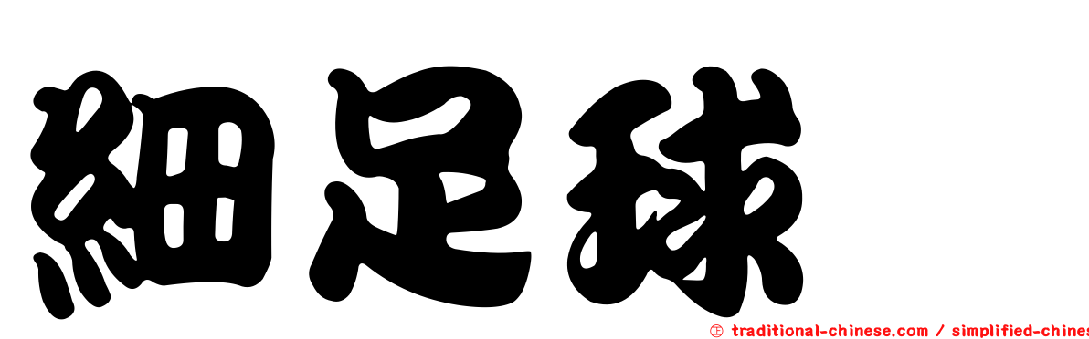 細足球蠓