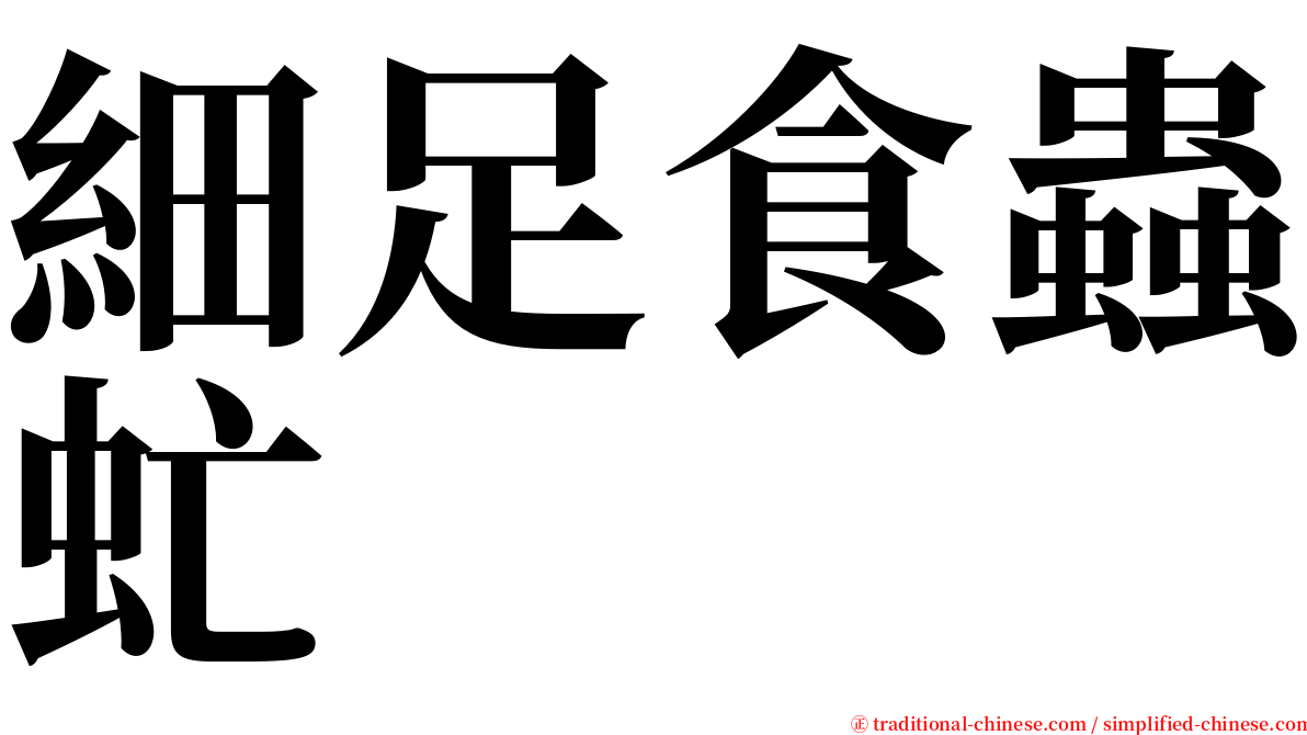 細足食蟲虻 serif font