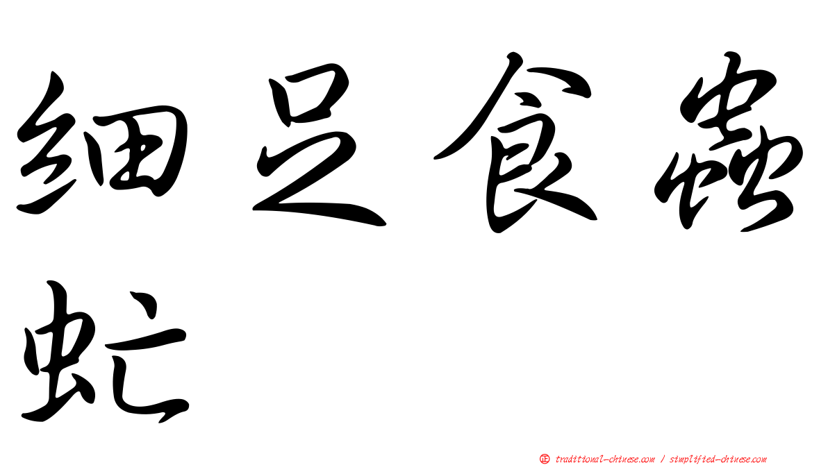 細足食蟲虻