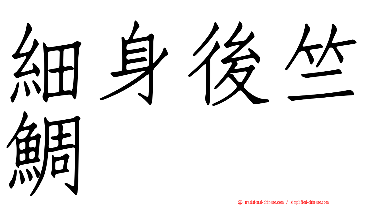 細身後竺鯛
