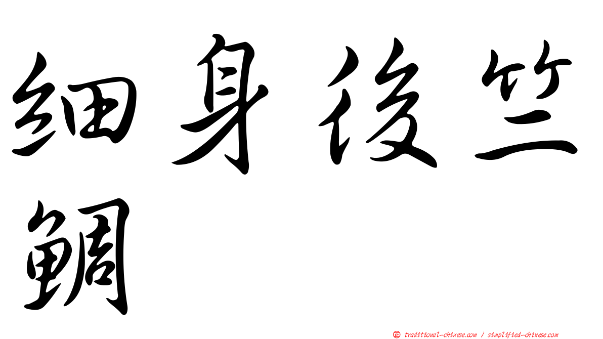 細身後竺鯛