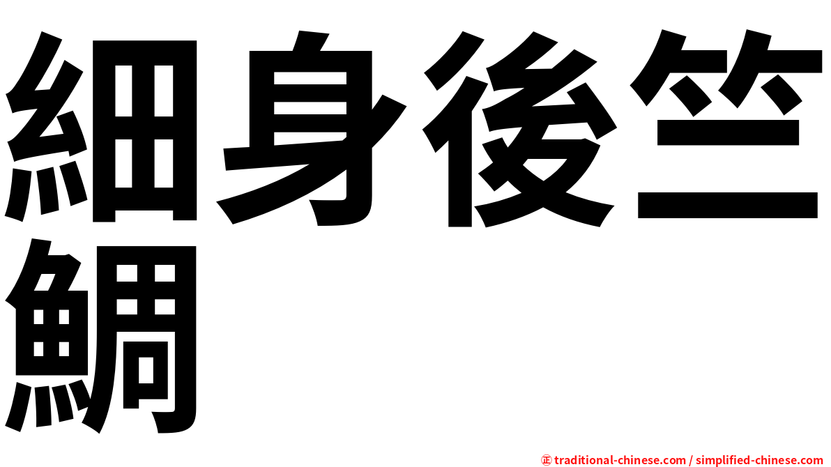 細身後竺鯛