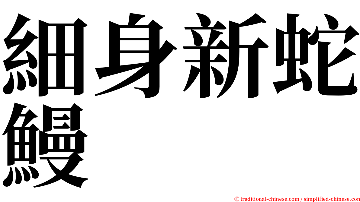 細身新蛇鰻 serif font