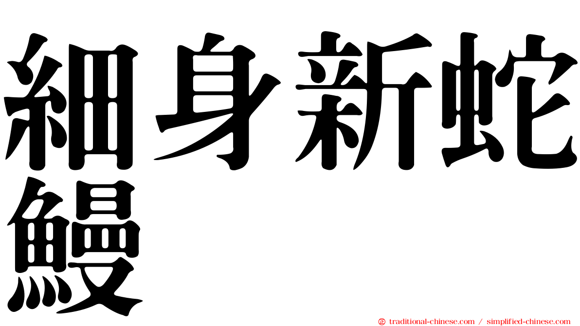 細身新蛇鰻