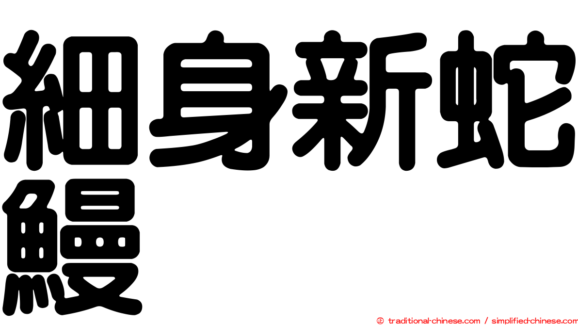 細身新蛇鰻