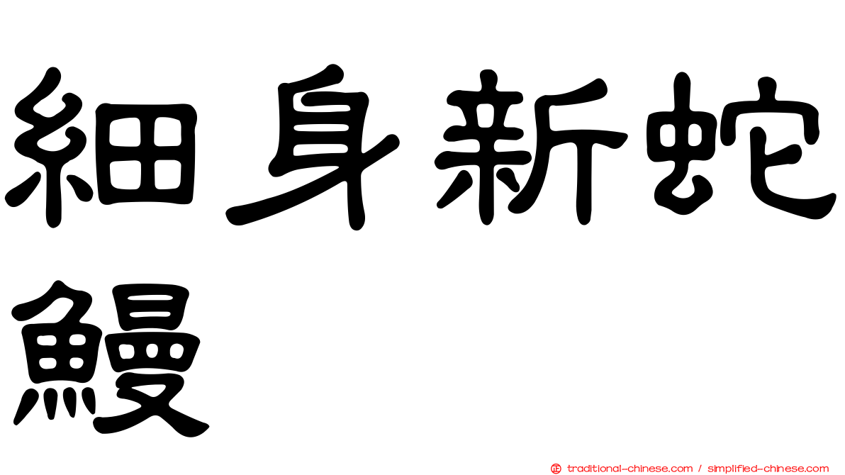 細身新蛇鰻