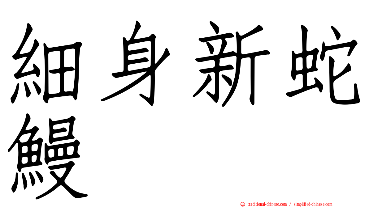 細身新蛇鰻