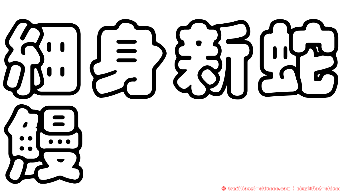 細身新蛇鰻