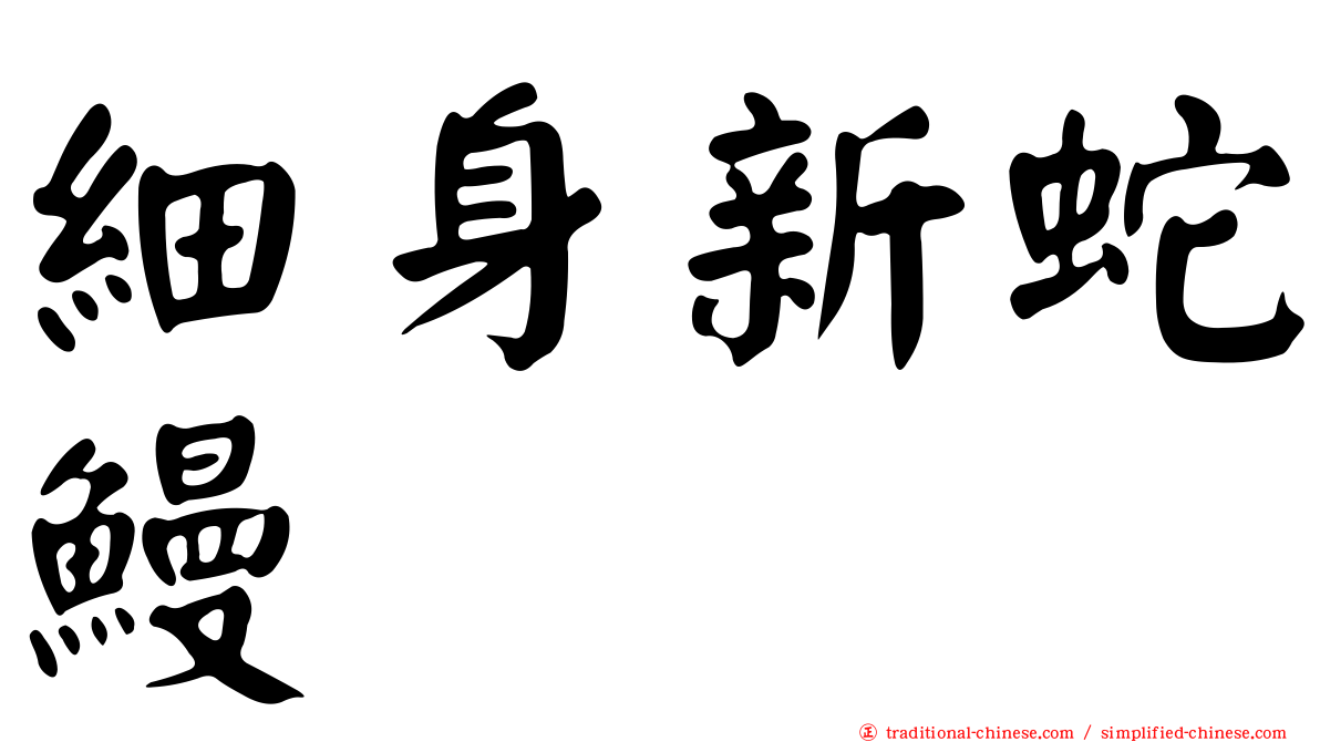 細身新蛇鰻