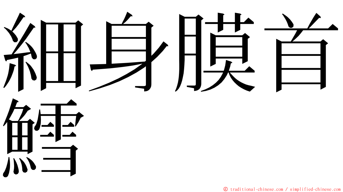 細身膜首鱈 ming font