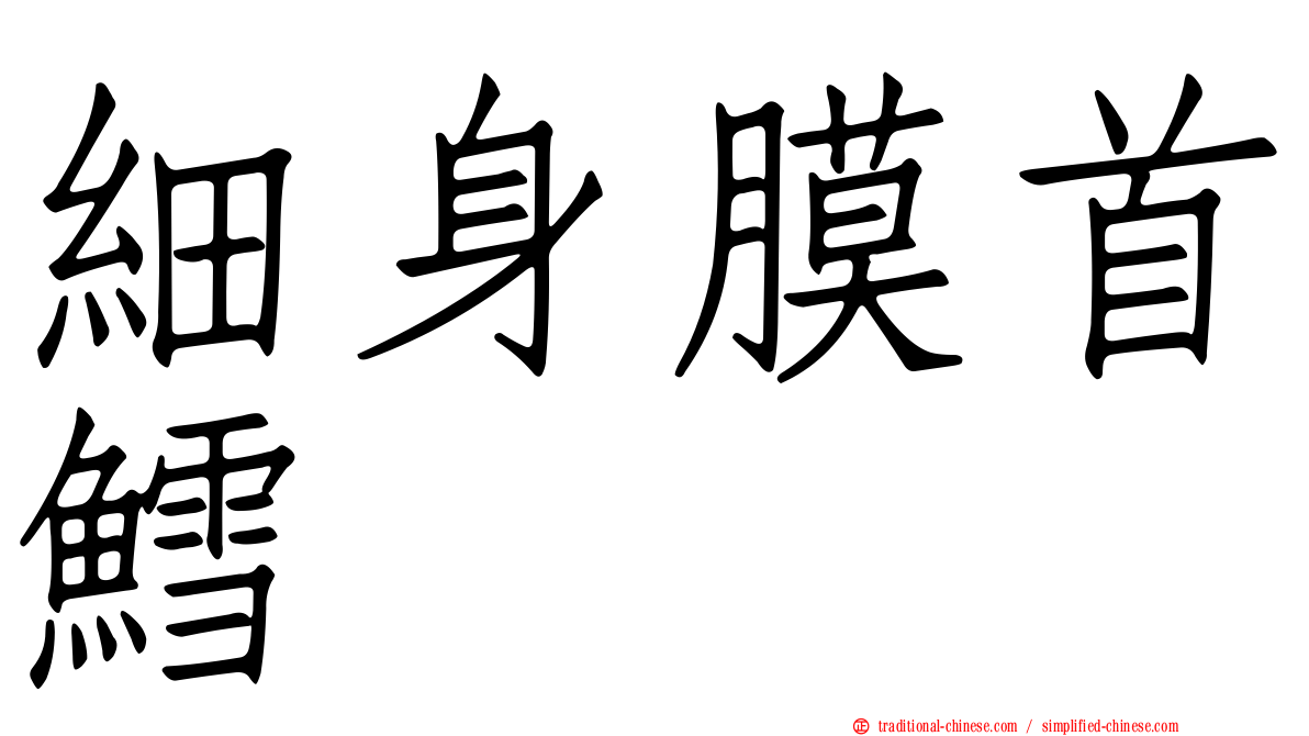 細身膜首鱈