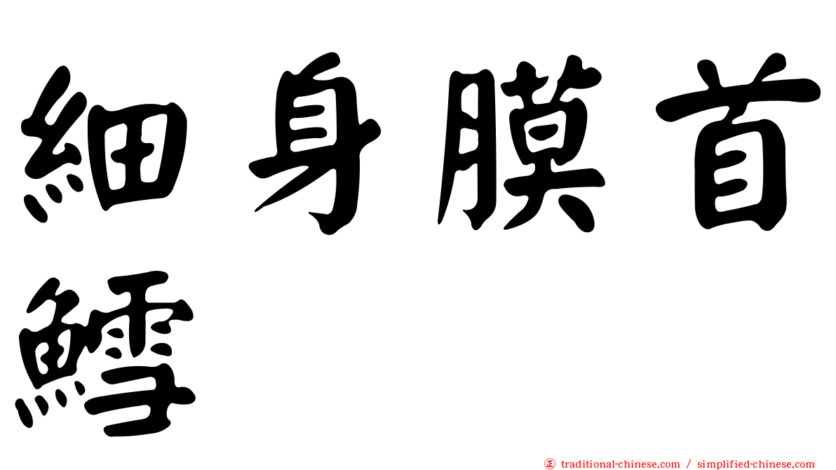 細身膜首鱈