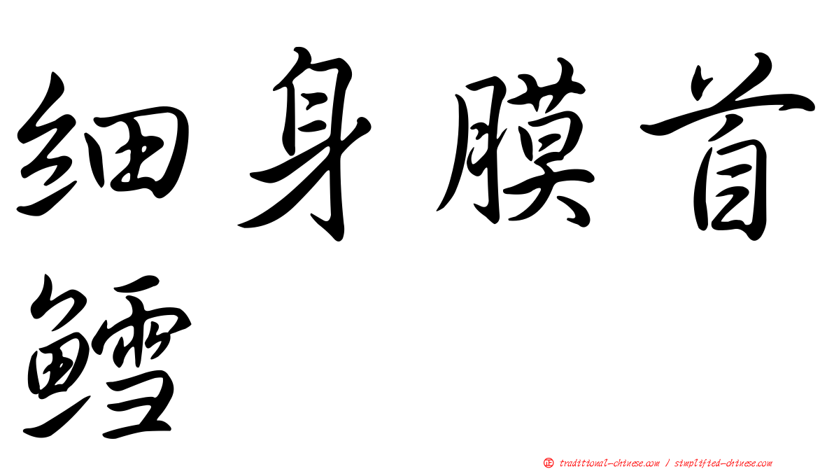 細身膜首鱈