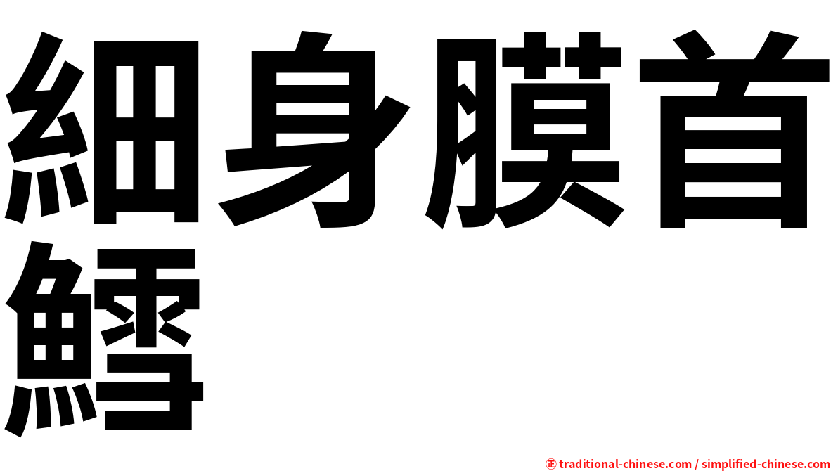 細身膜首鱈